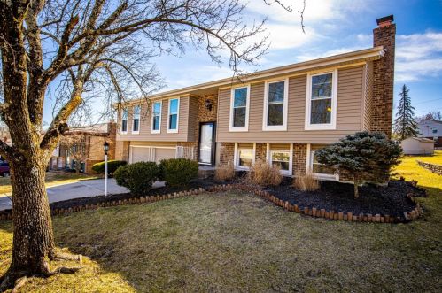 4959 Alvernovalley Ct, Cincinnati, OH 45238-6003