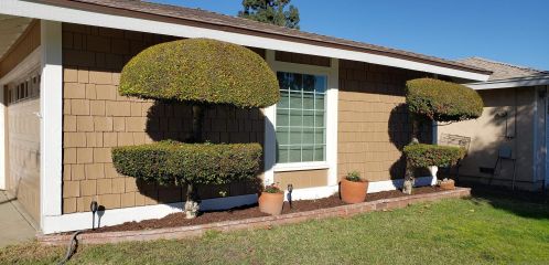 1034 Eclipse Ct, Ontario, CA 91762-4803