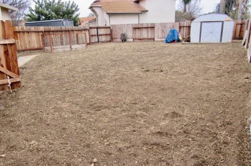 766 Amelia Ct, Los Banos CA 93635-2623 exterior