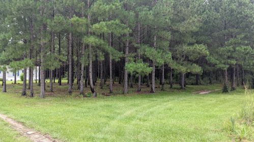 2056 Old Bonifay Rd, Sunny Hills FL  32428-6118 exterior