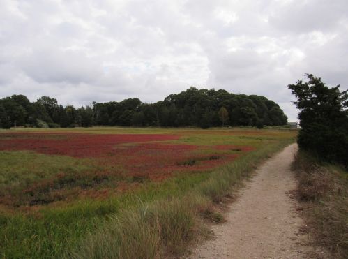 15 Seaview Rd, Eastham MA 02642-2531 exterior