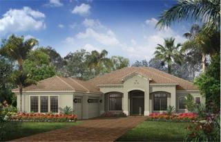1007 Stella Vara Dr, Lutz, FL 33548-4814