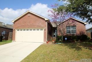 145 Goldenrod Cv, Cibolo, TX 78108-3298