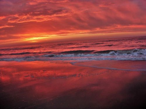 949 Gulf Beach Dr, Saint George Island FL  32328-3002 exterior