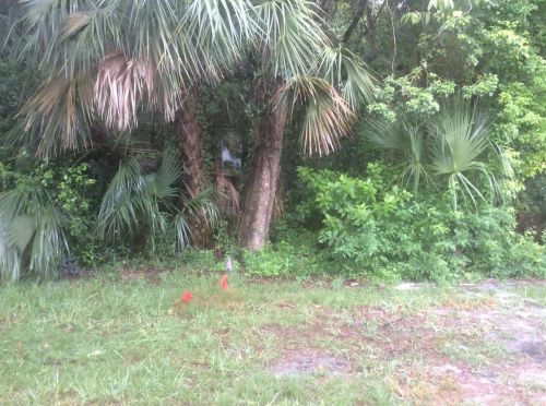 4227 Richmere Dr, New Port Richey, FL 34652-5635