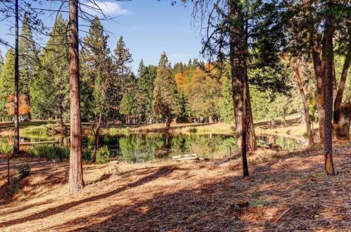 13943 Greenhorn Rd, Grass Valley CA  95945-8484 exterior