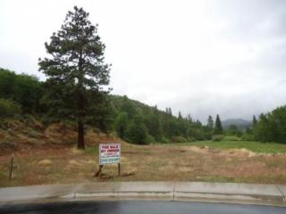 500 Wood Duck Ct, Susanville, CA 96130-5509