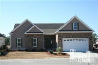 1025 Sparkle Stream Ct, Belville, NC 28451-4214