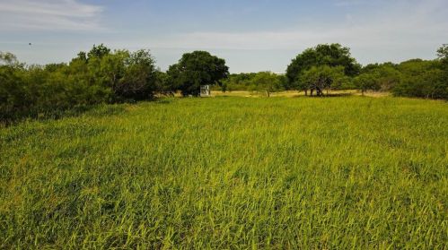 672 Pump Station Rd, Ringgold, TX 76261-5218