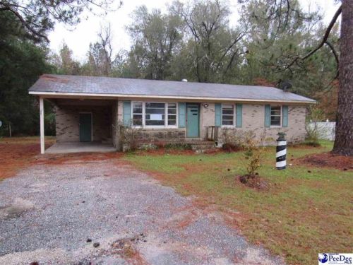 207 Butler Rd, Marion, SC 29571-6514