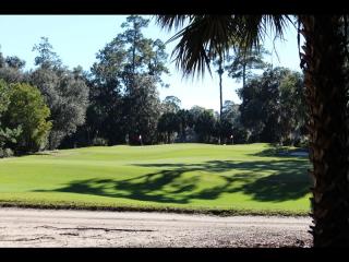 16 High Hope Way, Bluffton SC  29910-8372 exterior