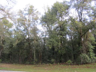 1043 Beatrice Ter, Inverness, FL 34453-0484