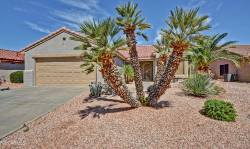 16386 Rock Springs Ln, Sun City, AZ 85374-6443