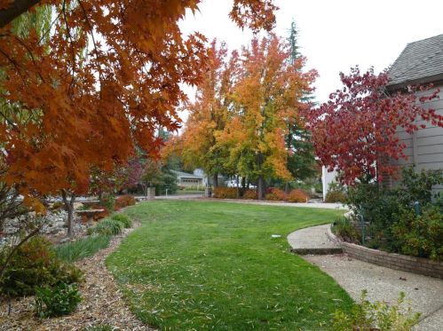 12108 Lake Wildwood Dr, Lake Wildwood CA  95946-9451 exterior