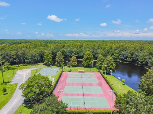 3664 Darston St, Palm Harbor FL  34685-1182 exterior