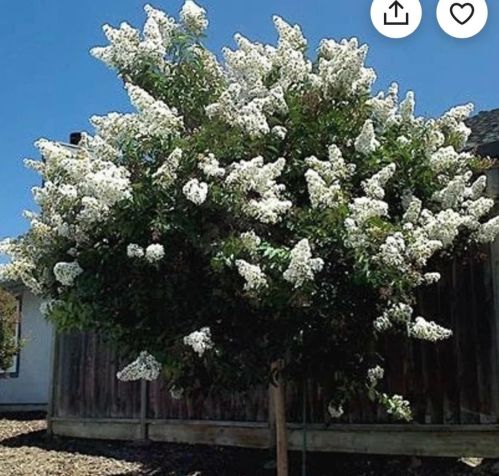 564 Forest Meadows Dr, Vallecito, CA 95247-9578