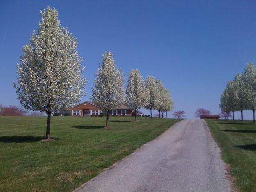 4226 Virginia Byway, Bedford, VA 24523-6131
