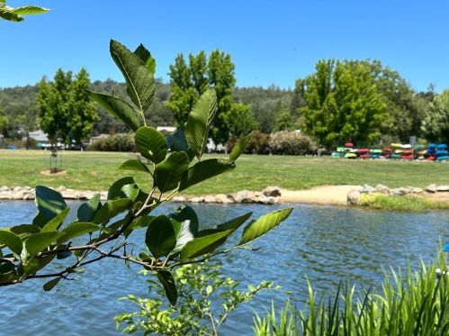 13980 Lake Wildwood Dr, Lake Wildwood CA  95946-9592 exterior