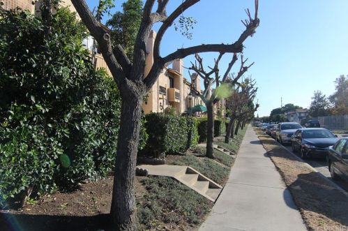 9600 Sylmar Ave, Van Nuys, CA 91402-1134