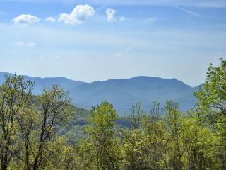 1877 Town Mountain Rd, Asheville, NC 28804-2942