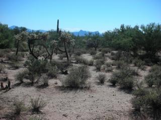 13142 Lost Wells Trl, Tucson, AZ