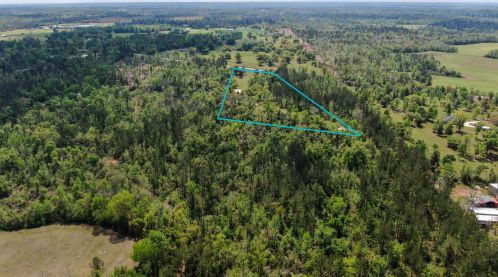 3438 Hwy 73, Marianna FL 32446-2478 exterior