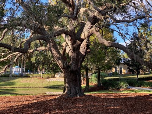 8722 New Alexandria Loop, New Port Richey FL 34654-4660 exterior