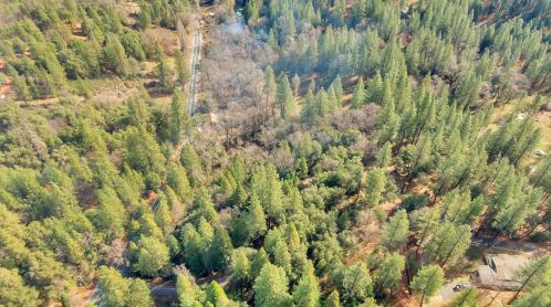 16580 Highway 26, Glencoe CA  95232-9712 exterior