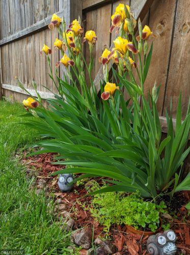 411 5th Ave, Saint Cloud MN 56301-4392 exterior