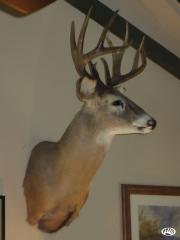 6202 County Road 1000, Seymour IN  47274 exterior