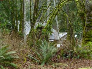8533 Valley Green Dr, Olympia, WA 98513-9008