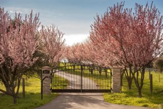 1147 Debbie Hill Rd, Cotati, CA 94931-9604