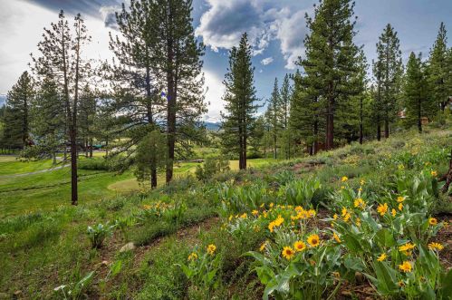 357 Skidder Trl, Truckee CA 96161-3929 exterior