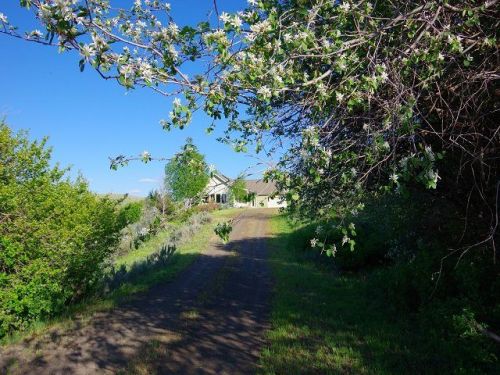 1603 Goodrich Rd, Tamarack, ID 83612-5252