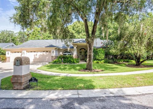 60 Deerpath Ct, Oldsmar, FL 34677-2054