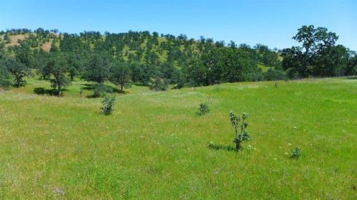 248 Fiddlers Ln, Igo, CA 96047
