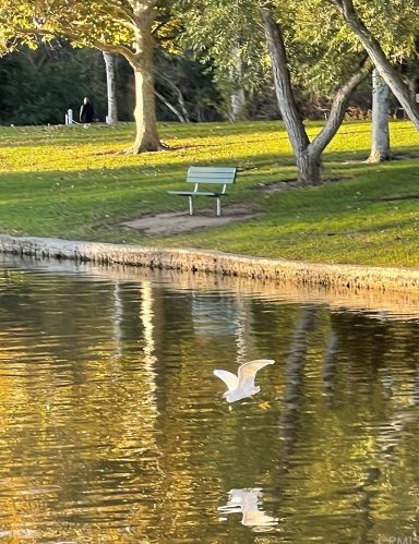 8 Arboles, Irvine CA 92612-2626 exterior