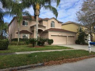 19326 Aqua Springs Dr, Lutz, FL 33558-9718