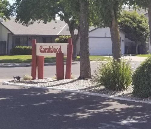 39 Clipper Ln, Modesto CA  95356-1711 exterior