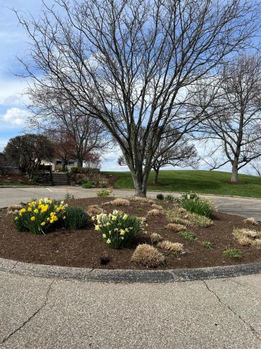 2926 Vista Ct, Covington KY  41017-3687 exterior