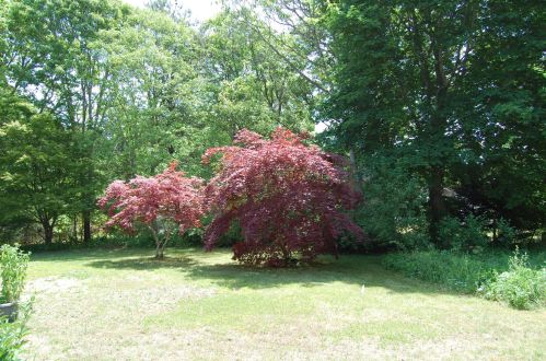 164 Samoset Rd, Eastham MA 02642-3144 exterior