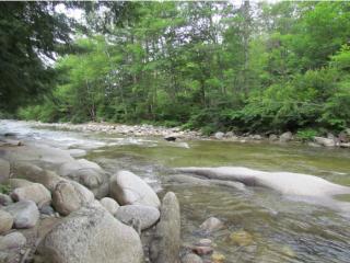 299 Studio Rd, Warren, NH 03279-4449