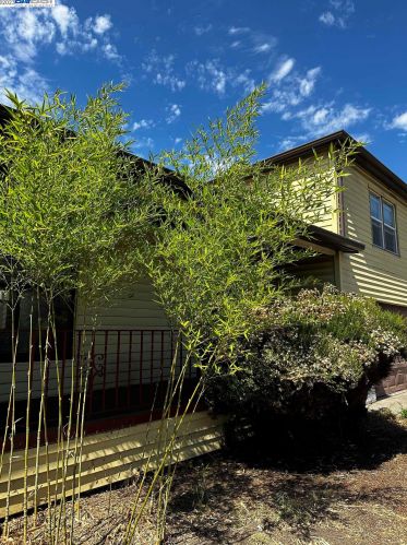 2305 103rd Ave, Oakland, CA 94603-3403
