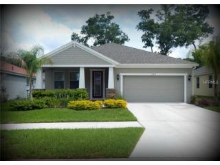3004 Florida Elm Pl, Seffner, FL 33584-6036