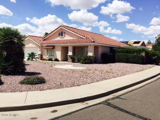 8768 Lockland Ct, Peoria AZ  85382-3766 exterior