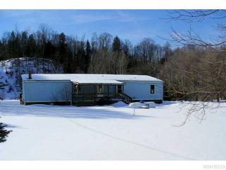10799 Delevan Elton Rd, Delevan, NY 14042-9611
