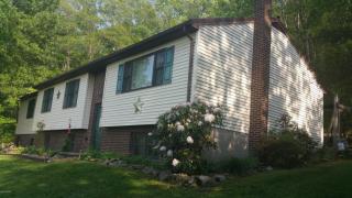 282 Meadowview Circle Dr, Reed Station, PA 17860-7436