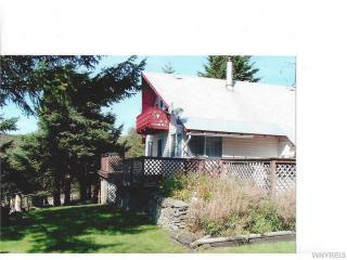 6982 Poverty Hill Rd, Ellicottville, NY 14731-9752