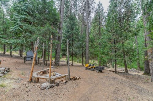 16199 Pioneer Creek Rd, Pioneer, CA 95666-9415