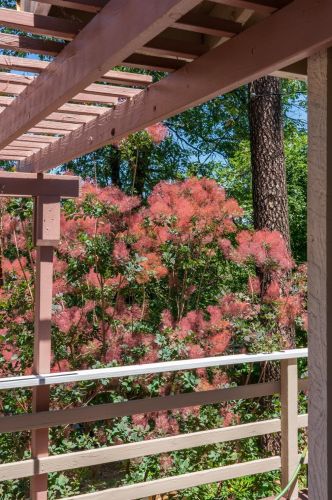 10865 Gold Hill Dr, Grass Valley, CA 95945-7404